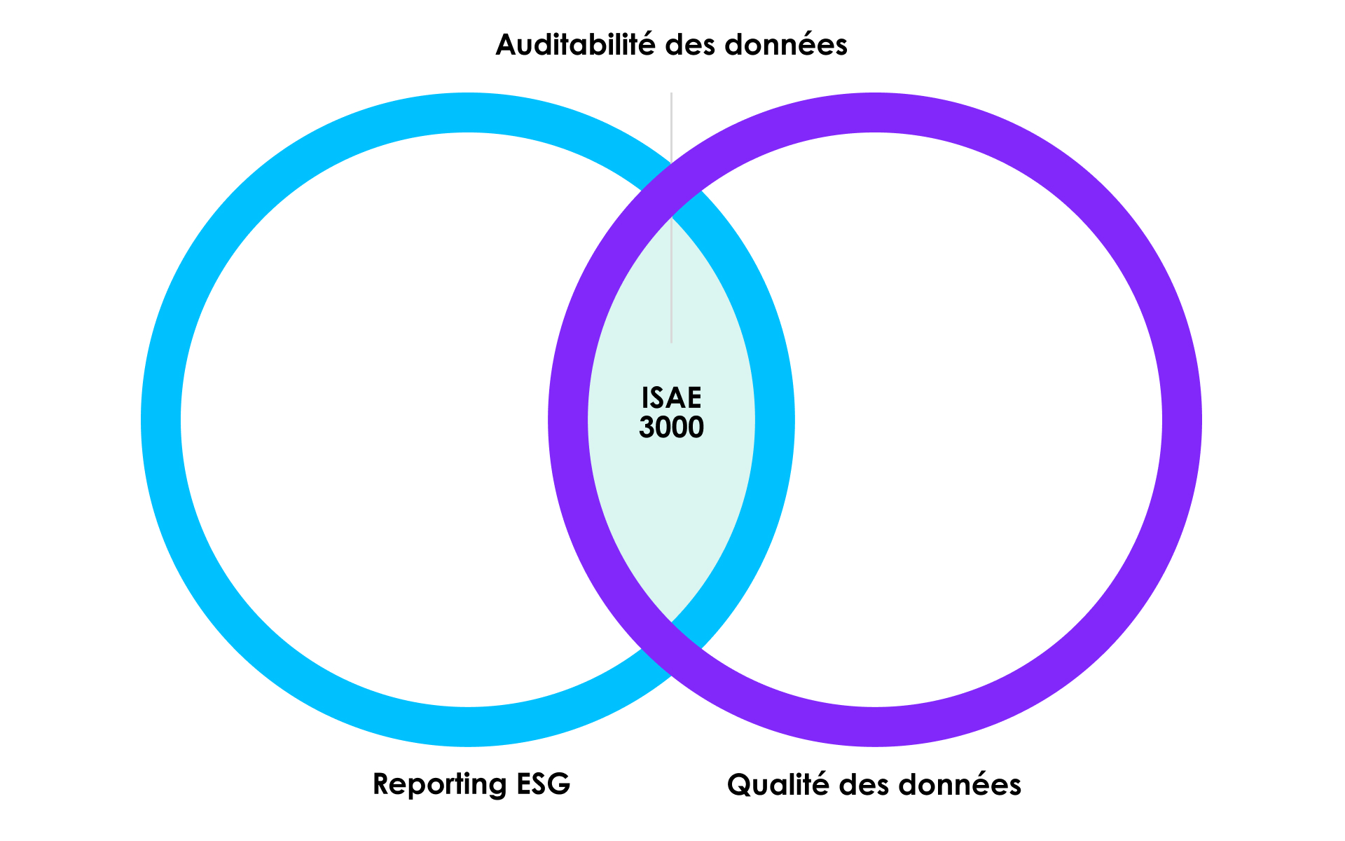 isae_3000_qualité_audit_reporting_ESG